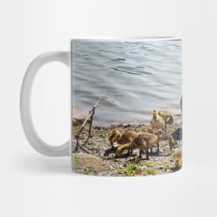 Canada Goose Parents With Their Goslings Mug